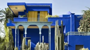 Gallery Thumbnail 5